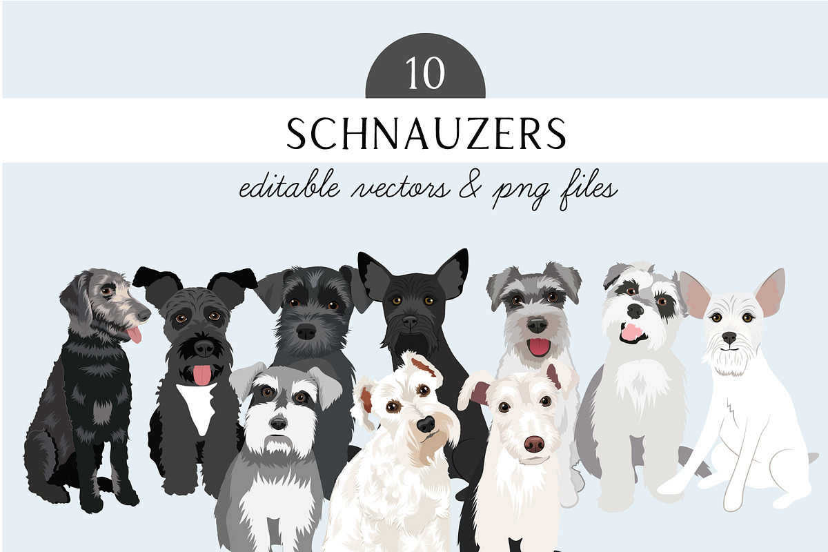 Schnauzers Clip Art Vector Bundle, an Illustration by Putnam Road Art (Photo 1 of 4)