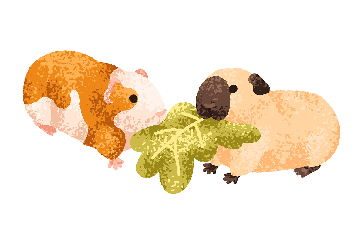 Cute, funny guinea pig animals set, an Animal Illustration by Good Studio (Photo 4 of 14)