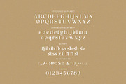 Rilashi - Elegant Serif Font, a Serif Font by TypeLogue (Thumbnail 5 of 5)