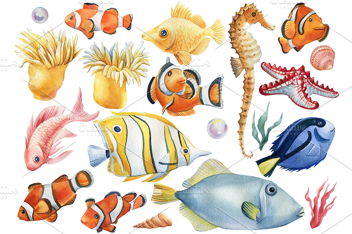 Seashells and fish, watercolor, an Animal Illustration by Hanna Hryharenka (Photo 14 of 20)