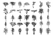 Tree Brushes - Willow Edition, a Brush Add-On by xresch (Thumbnail 21 of 27)