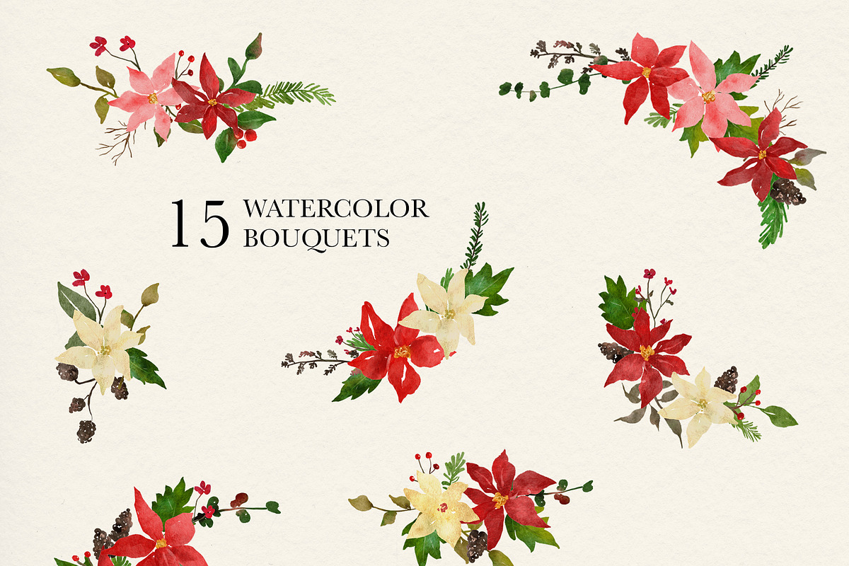 Watercolor Christmas Poinsettia, an Illustration by Backyard Rose (Photo 3 of 11)