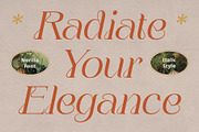 Nerilla – Art Nouveau Font, a Serif Font by Craft Supply Co. (Thumbnail 3 of 8)