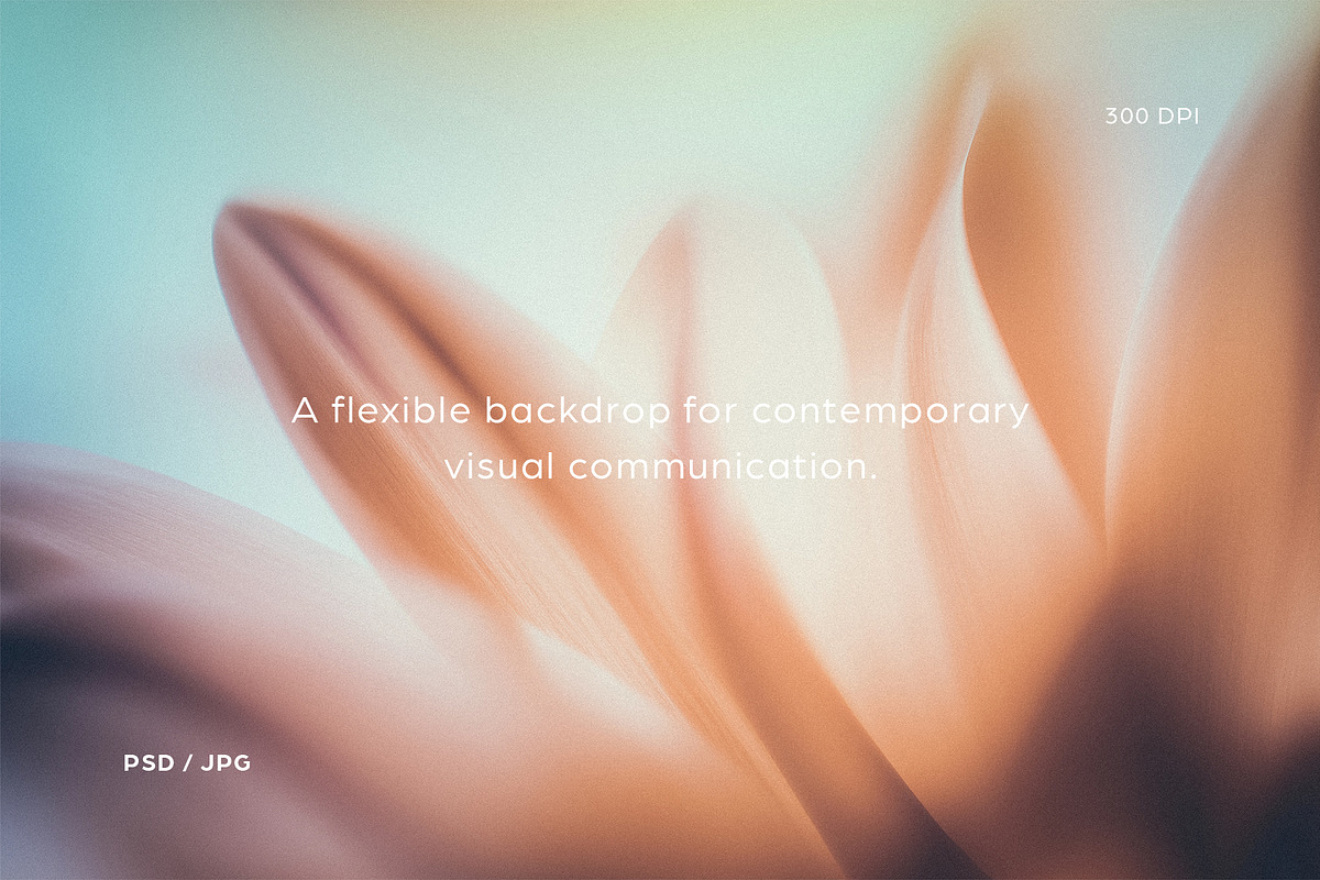 Harmony – Soft Focus Backgrounds, a Texture Graphic by Filip Studio (Photo 6 of 8)