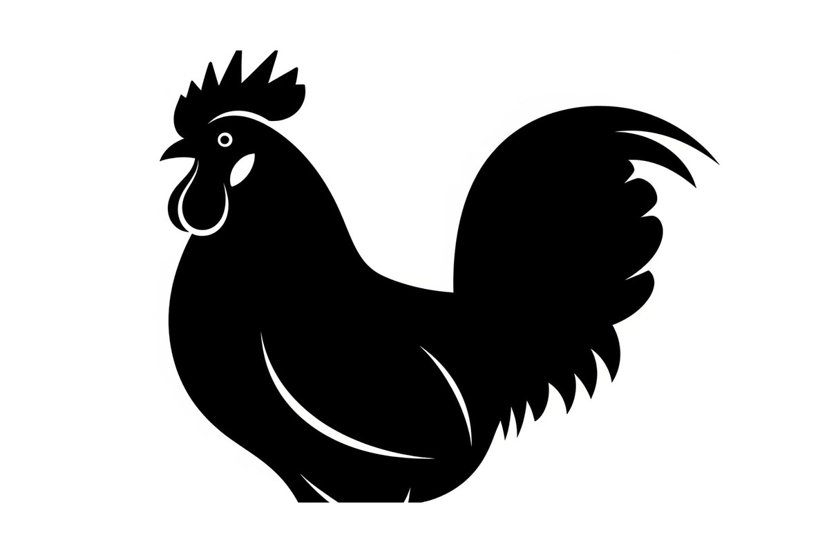Rooster Chicken Silhouette Vector Bu, an Illustration by Designs_River (Photo 38 of 51)