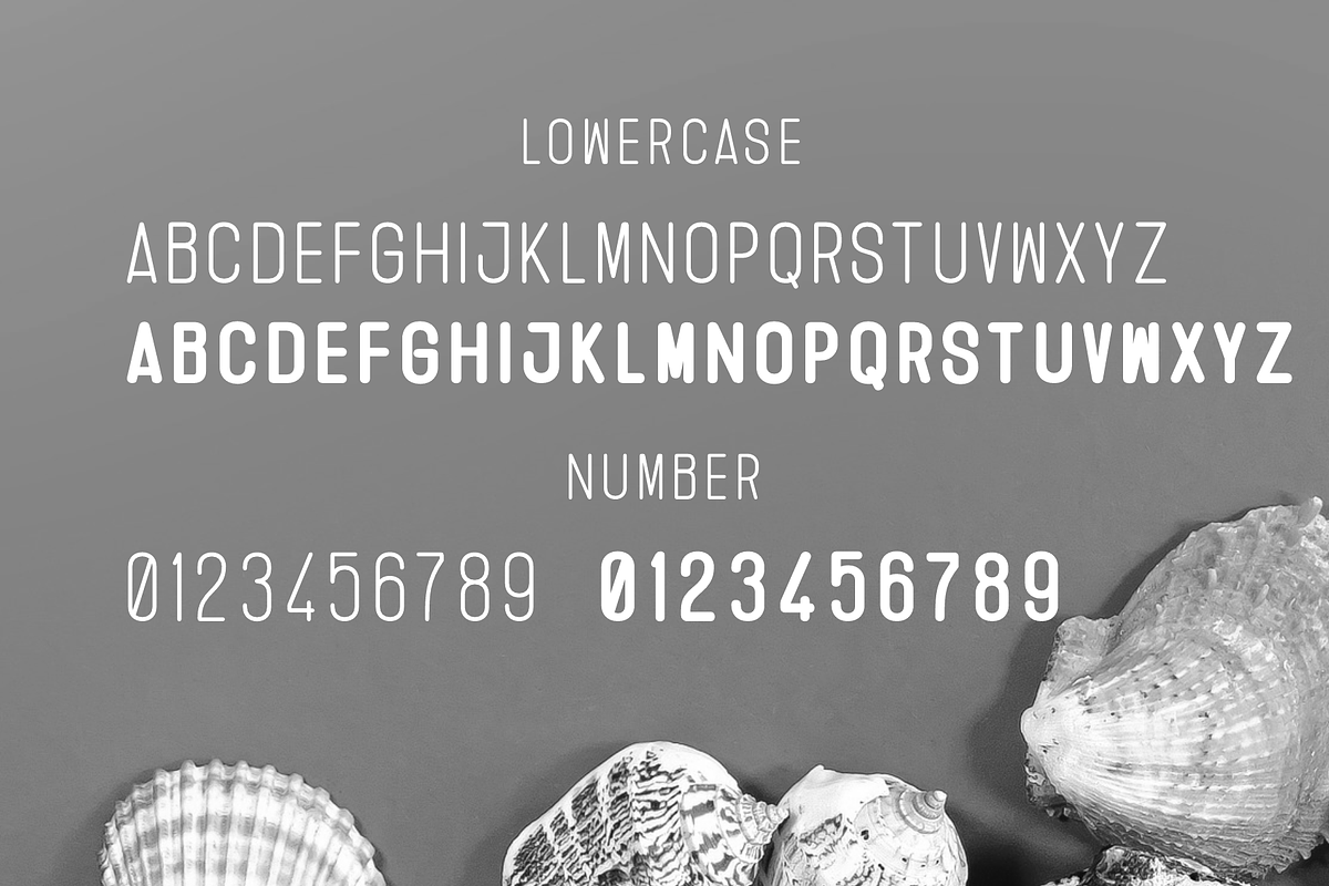 Zeneca Rounded, a Sans Serif Font by almazstudio (Photo 9 of 10)