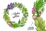 Green spices and herbs templates, a Food Illustration by Primula`s shop (Thumbnail 2 of 4)