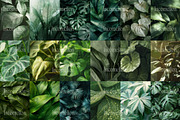 135 Green Leaves Stock Photos, a Nature Photo by Incomelion (Thumbnail 3 of 7)