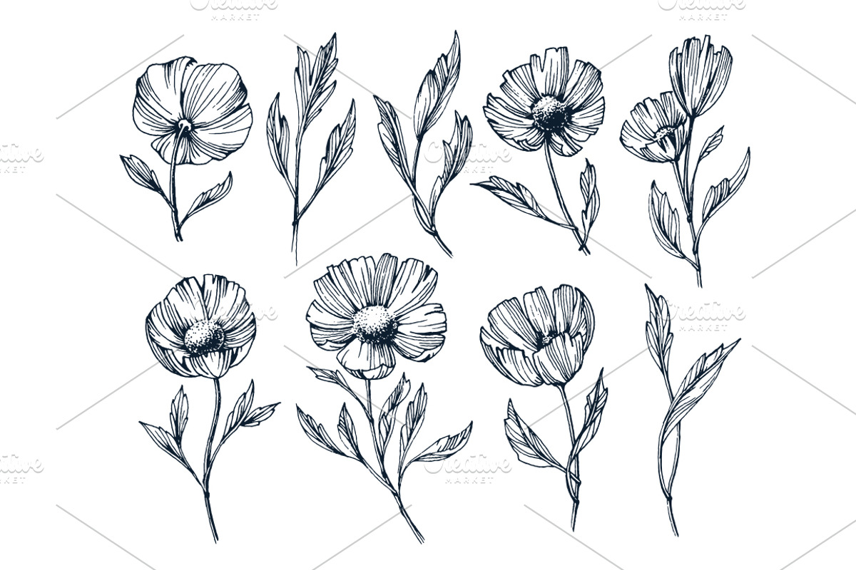Hand drawn isolated flowers set, an Object Graphic by SpaceNymph (Photo 2 of 5)