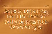 Baby - Luxury Premium Font, a Serif Font by Sensatype (Thumbnail 11 of 12)