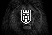Luxury Lion Business Logo, a Branding & Logo Template by Luxury Logos (Thumbnail 2 of 4)