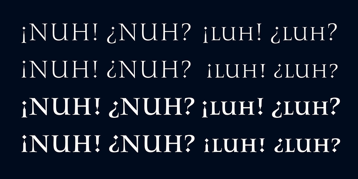 Romis, a Serif Font by Finaltype (Photo 12 of 22)