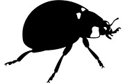 Ladybug Silhouette, an Object Graphic by Designer_Momina (Thumbnail 4 of 20)