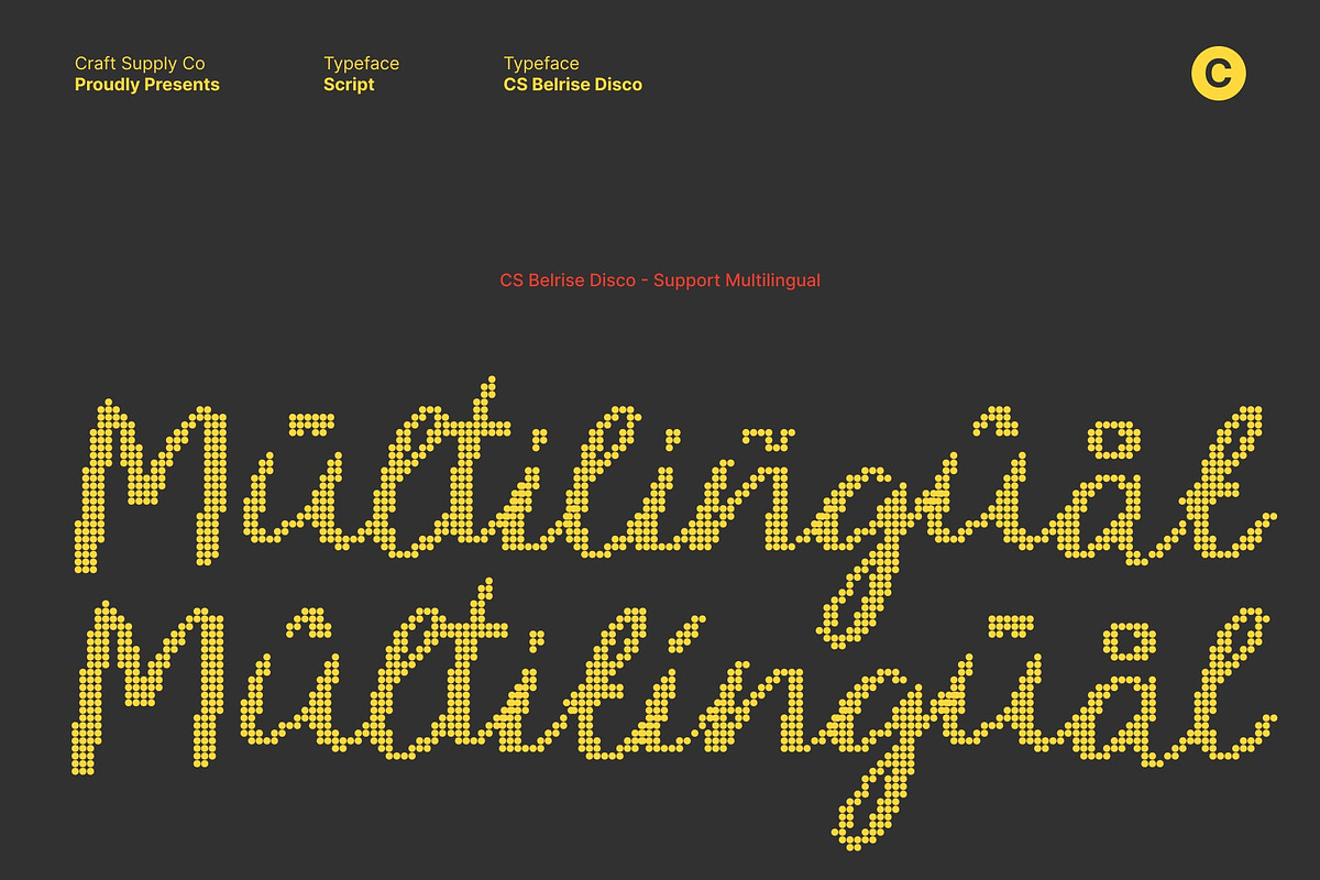 CS Belrise Disco, a Script Font by Craft Supply Co. (Photo 7 of 8)