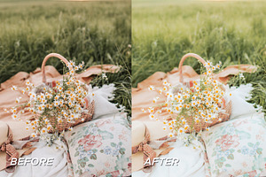 20 Spring LR Presets Video Filters