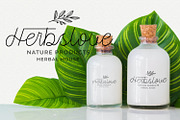 Kangtoni - Monoline Script Font, a Script Font by StringLabs (Thumbnail 5 of 11)