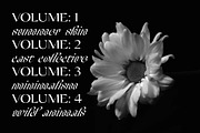 Champagne Cartel Family, a Serif Font by Tropical Type (Thumbnail 16 of 17)