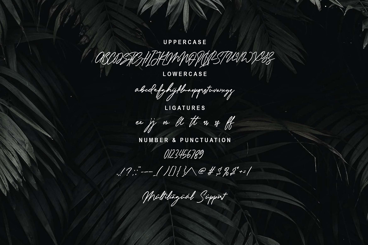 Rishin, a Script Font by Zelda Graphic (Photo 2 of 7)