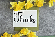 Ornament, a Handwritten Font by FreshTypeINK (Thumbnail 4 of 8)
