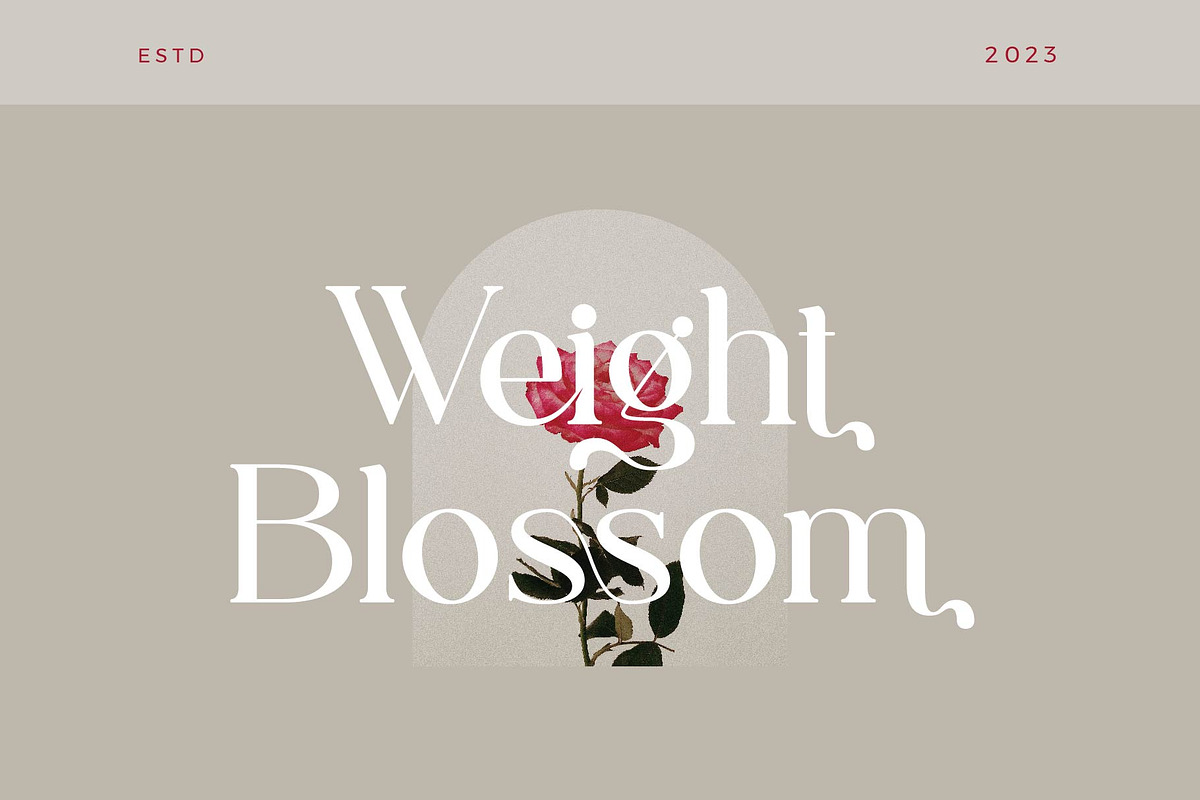 Capella - Stylish Ligature Font, a Serif Font by Aqeel_Art (Photo 3 of 9)