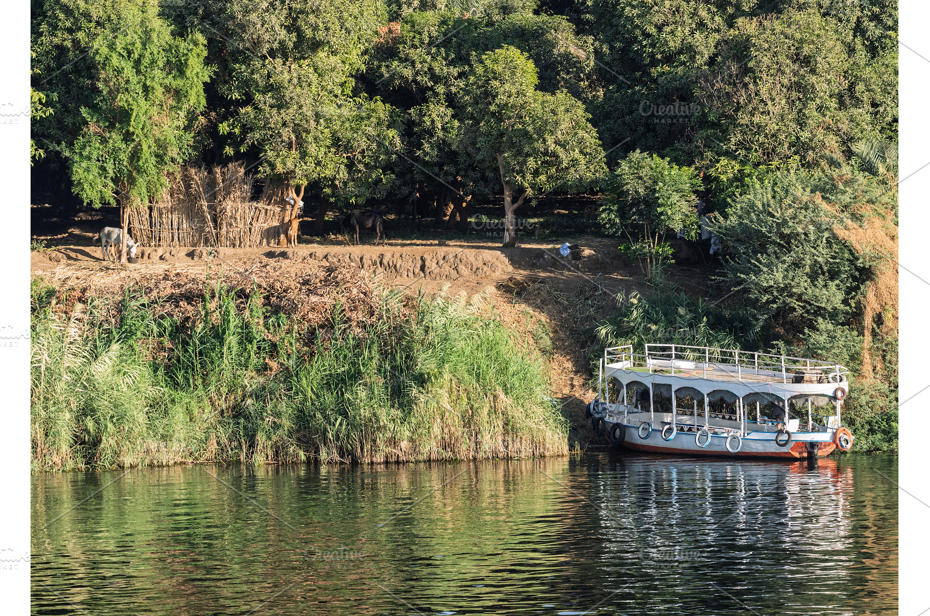 Passenger ferry docked by the River, a Transportation Photo by Backyard Stock