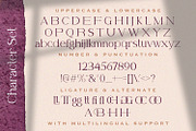 Belfina Husairy - Classic Serif Font, a Serif Font by StringLabs (Thumbnail 10 of 11)