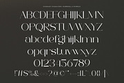 Bernya|Beauty Modern Serif Typeface, a Serif Font by Muflieart (Thumbnail 9 of 10)