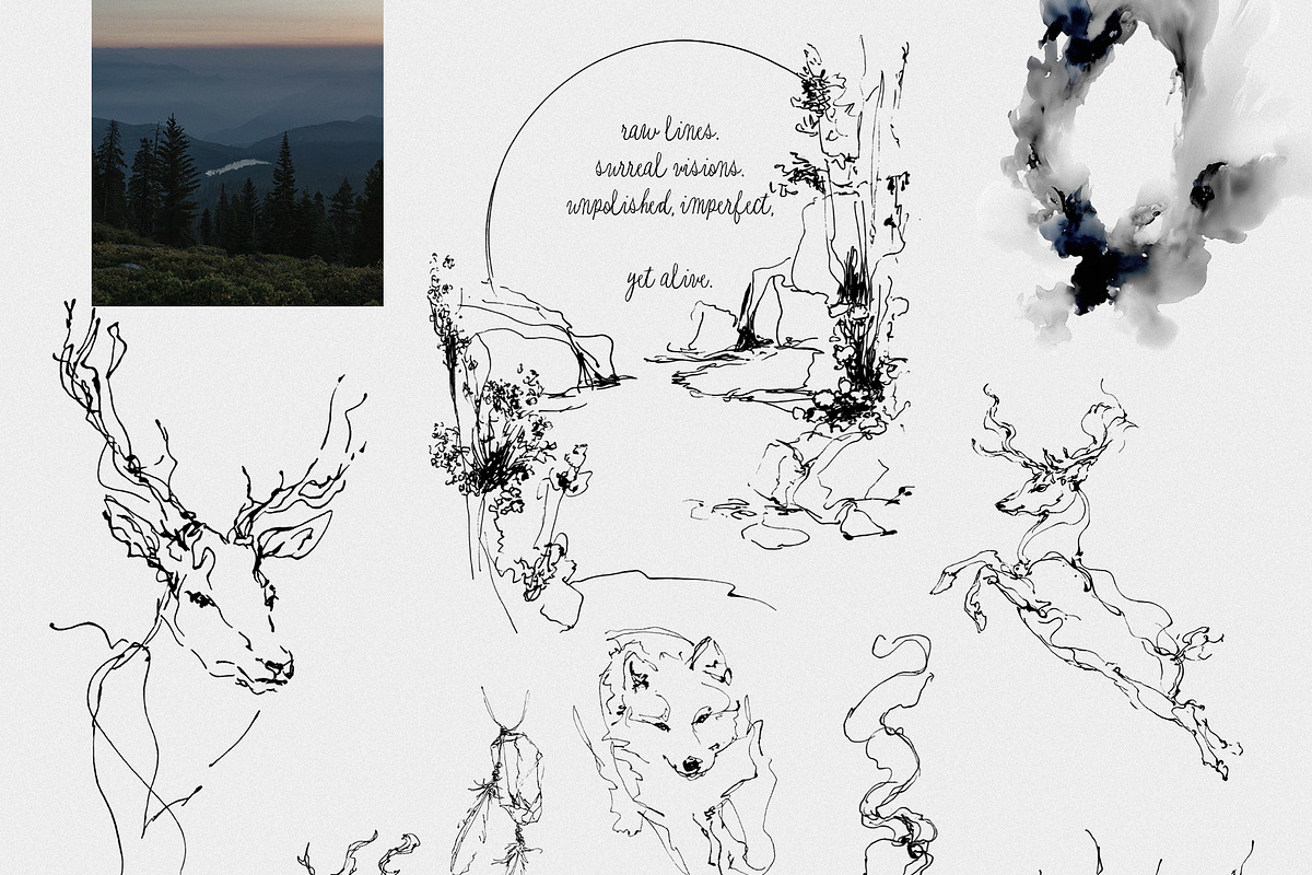 CHIMERA: Raw Surreal Line Art, an Animal Illustration by Purple (Photo 11 of 12)