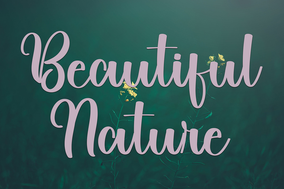 Onion, a Serif Font by FreshTypeINK (Photo 5 of 6)