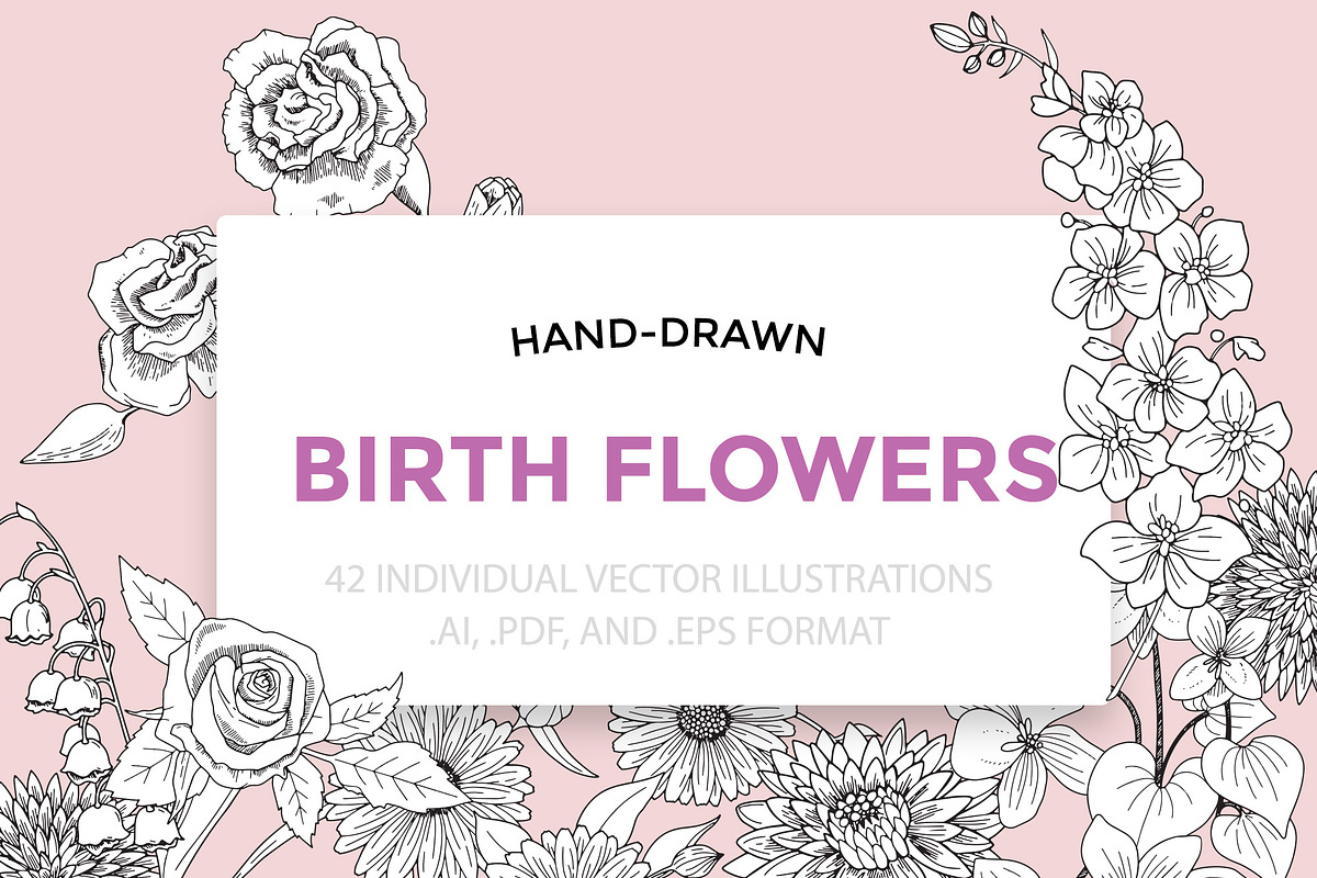 Birth Flower Vector Line Art, an Illustration by MyNatureGraphics (Photo 1 of 3)