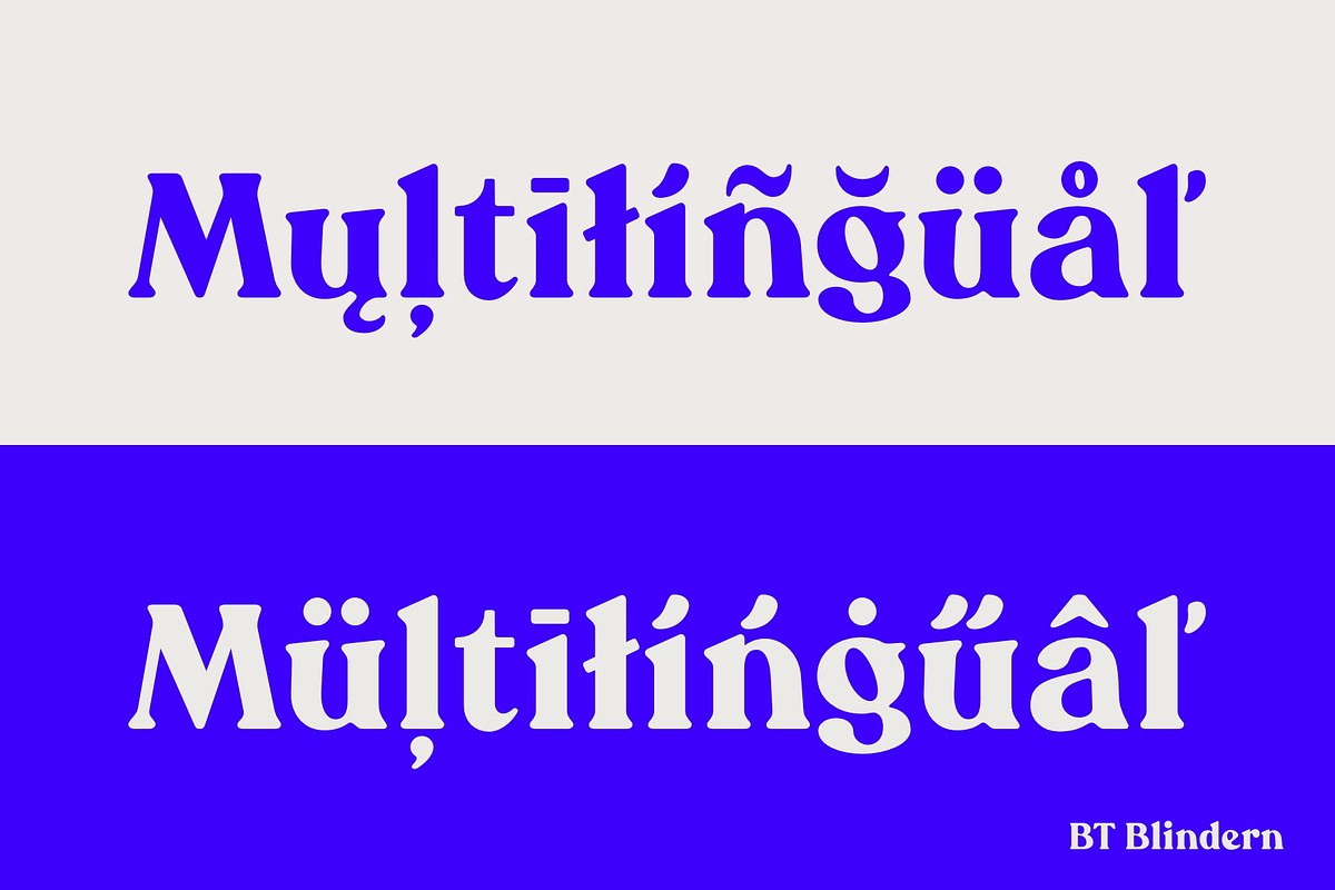 BT Blindern, a Serif Font by BadType (Photo 2 of 9)