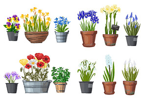 Garden Flowers In Pots. Vector