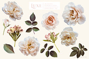 Luxe Oil Paint Floral Graphics, an Illustration by Eclectic Anthology (Thumbnail 5 of 17)