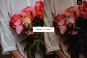 4 Moody Aesthetic Lightroom Presets, a Preset Add-On by SHOOM HOUSE (Thumbnail 4 of 8)