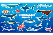 Cartoon underwater animal and fish, an Illustration by Vector Tradition (Thumbnail 3 of 3)
