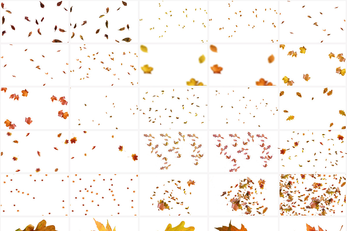 40 Autumn Leaves Overlays preview 4