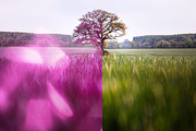Light Prism Photo Overlays, a Texture Graphic by Craftsy Crafters (Thumbnail 15 of 16)