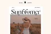 Belgan Aesthetic, a Serif Font by INKSUN™ (Thumbnail 7 of 16)