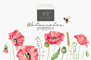 Poppies clipart Watercolor