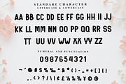 ELEGANT MUSIC, a Script Font by FreshTypeINK (Thumbnail 4 of 8)