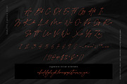 Charlotte Signature Font Duo, a Script Font by Type and Co. (Thumbnail 11 of 18)