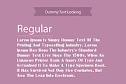 Cicicle Font, a Serif Font by Photoshop Action (Thumbnail 5 of 6)
