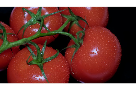 Close-up of a bunch of fresh, a Food & Drink Photo by mlinnikov