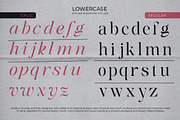 Softlen Minusone Stiller | 6 Update, a Serif Font by Natural Ink Studio (Thumbnail 11 of 15)