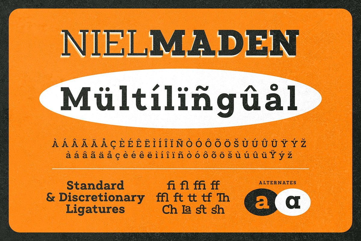 Nielmaden, a Slab Serif Font by Drizy (Photo 7 of 9)