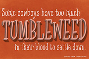 Cattleprod, a Slab Serif Font by Pink Broccoli (Thumbnail 2 of 5)