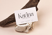 Magfin Elegant Serif Font, a Serif Font by Perfectype (Thumbnail 7 of 8)