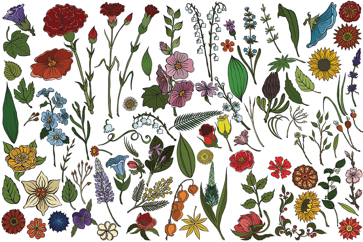 Vector plants and flowers, an Illustration by risovanya (Photo 5 of 5)