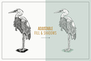 Hand Drawn Shorebirds Set, an Animal Illustration by Well Rock Designs (Thumbnail 3 of 8)
