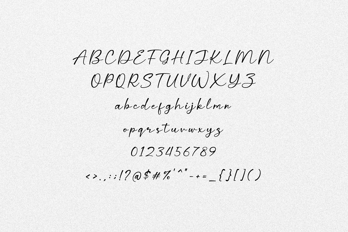 Wing Signature - Elegant Script, a Script Font by Salamahtype (Photo 6 of 8)